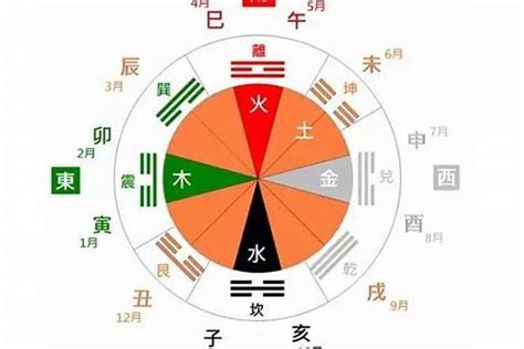 丙子年五行|解读丙子年：命局详解与运势分析